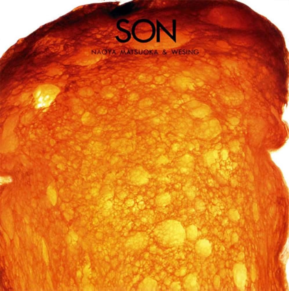 Amazon.co.jp: SON: ミュージック